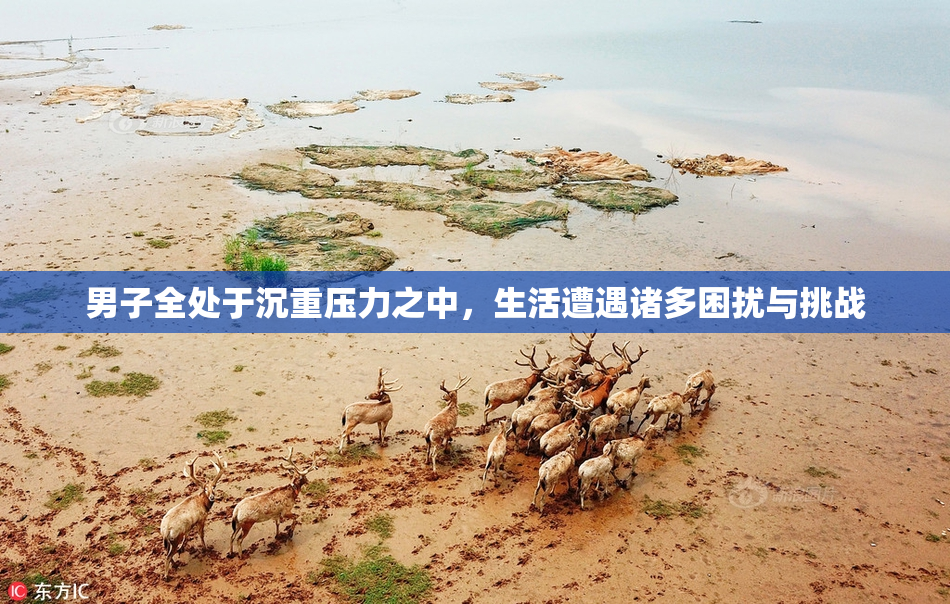 男子全处于沉重压力之中，生活遭遇诸多困扰与挑战