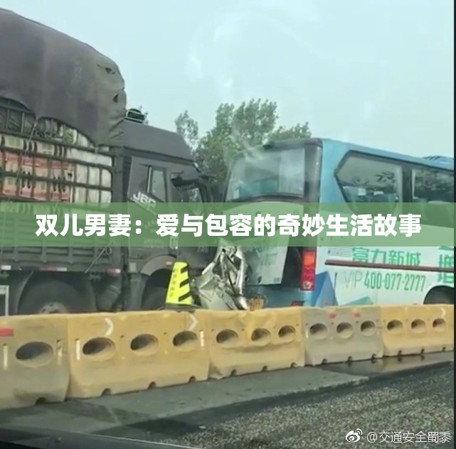 双儿男妻：爱与包容的奇妙生活故事