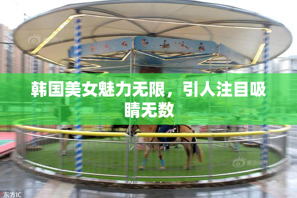 韩国美女魅力无限，引人注目吸睛无数