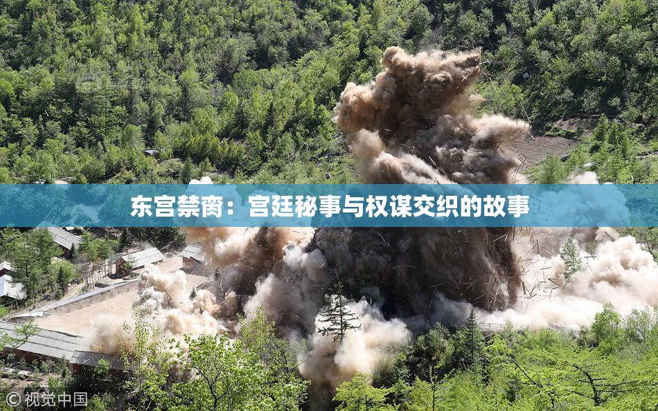 东宫禁脔：宫廷秘事与权谋交织的故事