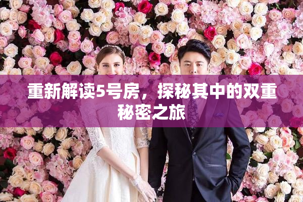 重新解读5号房，探秘其中的双重秘密之旅