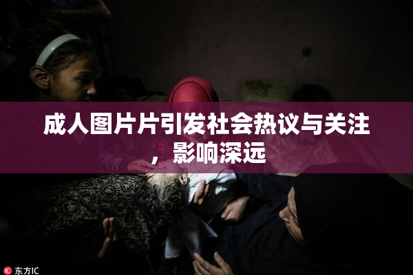 成人图片片引发社会热议与关注，影响深远
