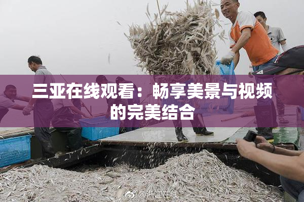 三亚在线观看：畅享美景与视频的完美结合