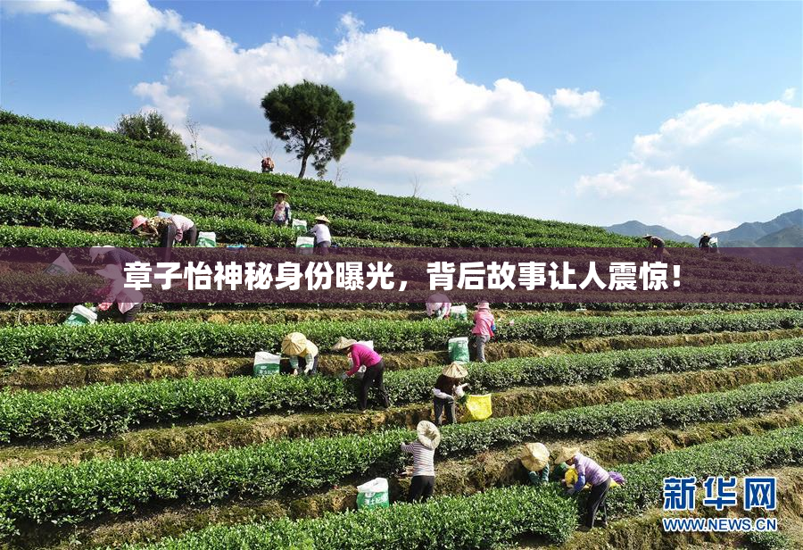 章子怡神秘身份曝光，背后故事让人震惊！