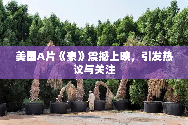 美国A片《豪》震撼上映，引发热议与关注