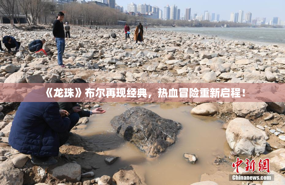《龙珠》布尔再现经典，热血冒险重新启程！