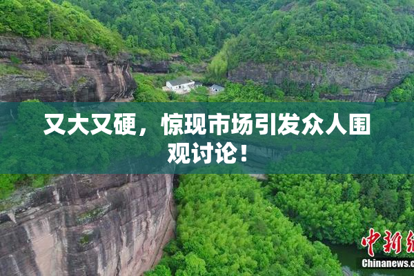 又大又硬，惊现市场引发众人围观讨论！