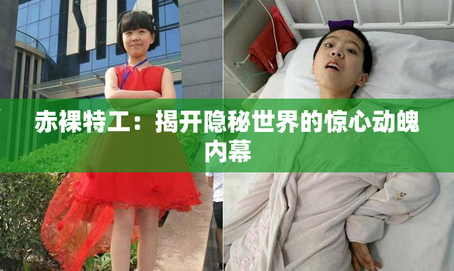 赤裸特工：揭开隐秘世界的惊心动魄内幕