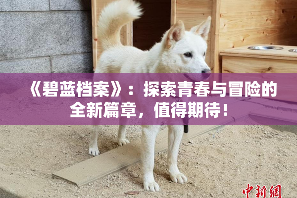 《碧蓝档案》：探索青春与冒险的全新篇章，值得期待！