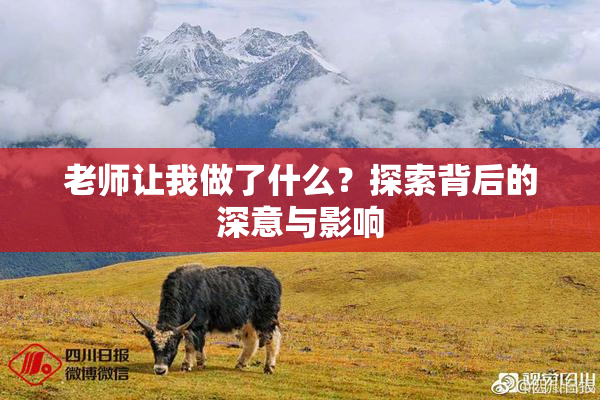 老师让我做了什么？探索背后的深意与影响