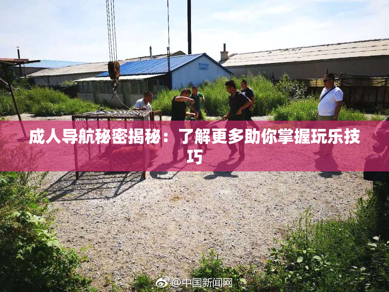 成人导航秘密揭秘：了解更多助你掌握玩乐技巧
