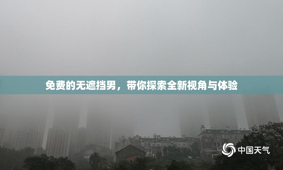 免费的无遮挡男，带你探索全新视角与体验