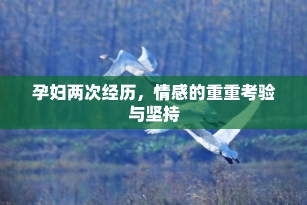 孕妇两次经历，情感的重重考验与坚持