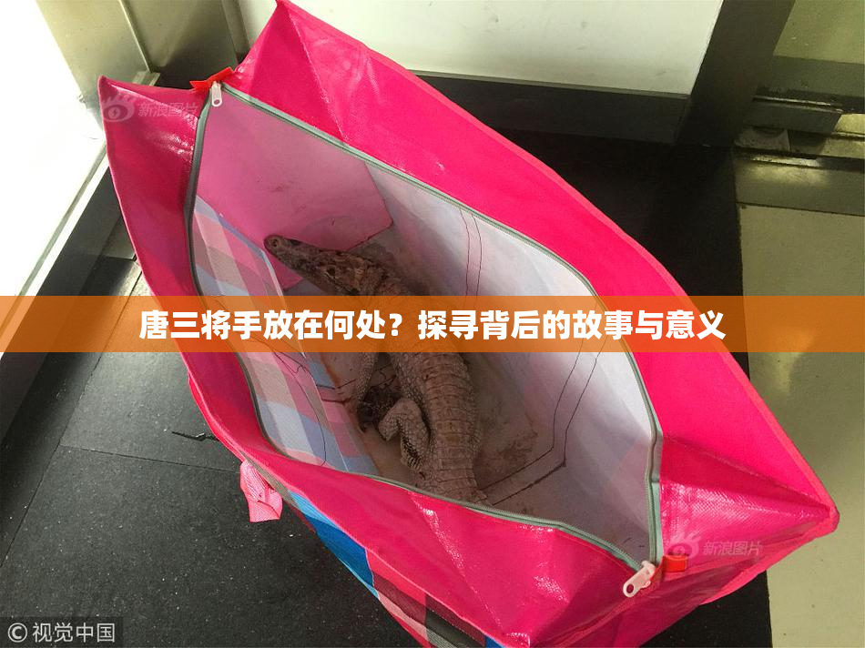 唐三将手放在何处？探寻背后的故事与意义