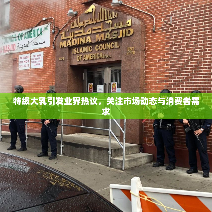特级大乳引发业界热议，关注市场动态与消费者需求