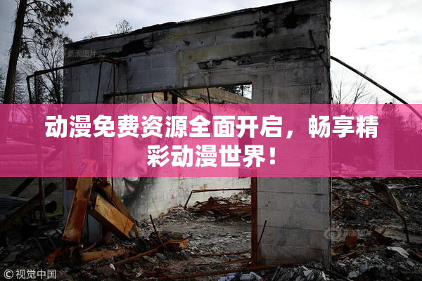 动漫免费资源全面开启，畅享精彩动漫世界！