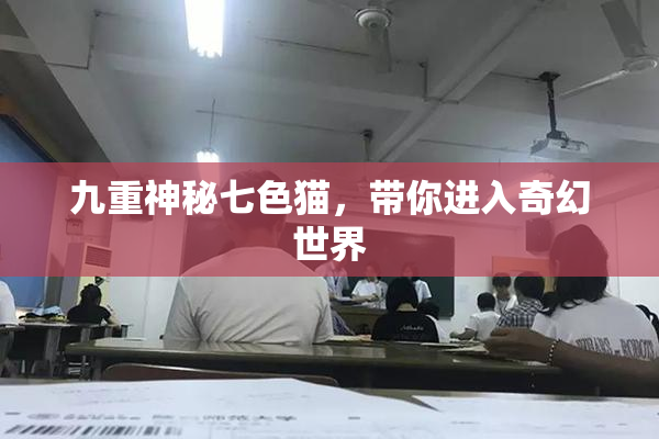 九重神秘七色猫，带你进入奇幻世界