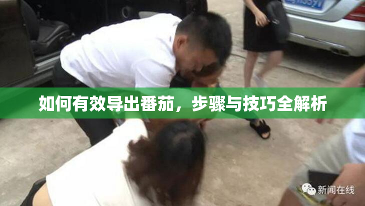 如何有效导出番茄，步骤与技巧全解析