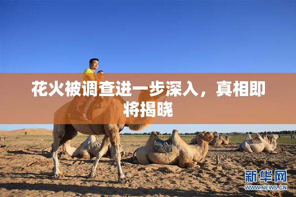 花火被调查进一步深入，真相即将揭晓