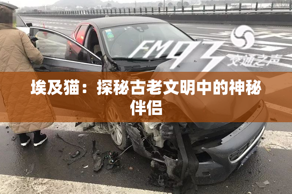 埃及猫：探秘古老文明中的神秘伴侣