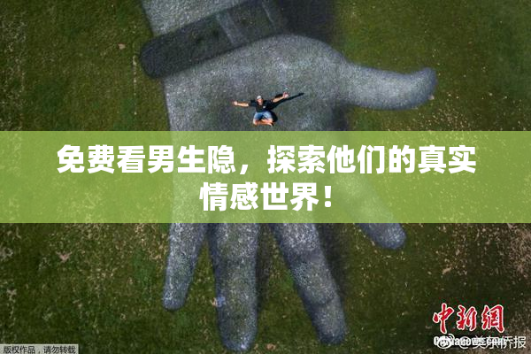 免费看男生隐，探索他们的真实情感世界！