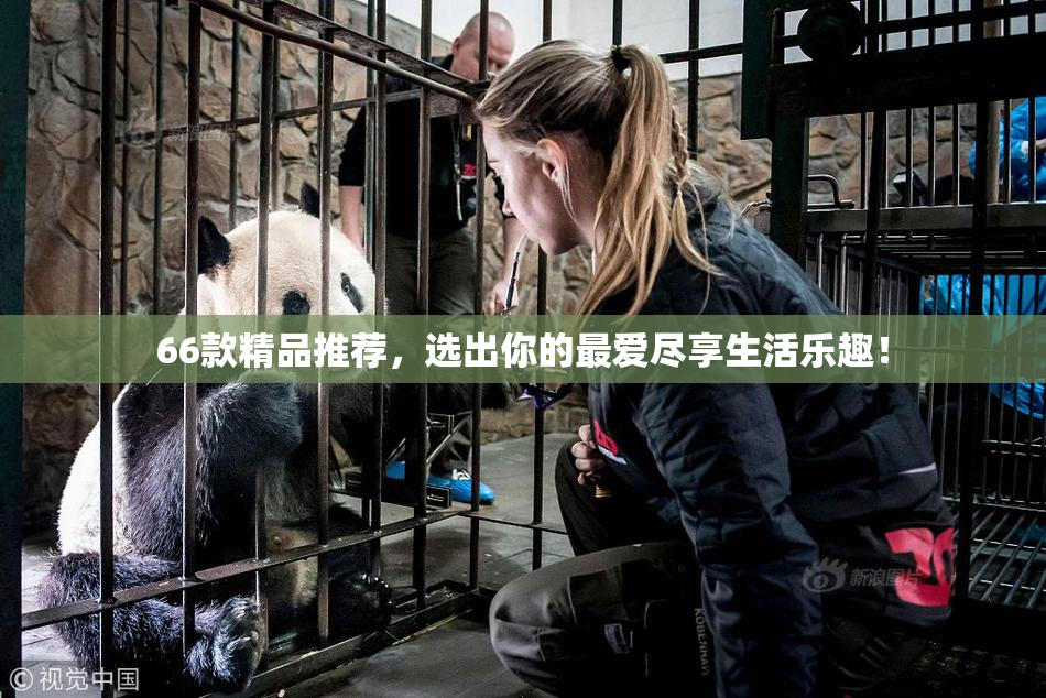 66款精品推荐，选出你的最爱尽享生活乐趣！