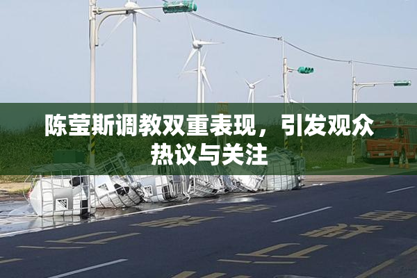陈莹斯调教双重表现，引发观众热议与关注