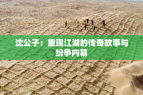 沈公子：重现江湖的传奇故事与纷争内幕