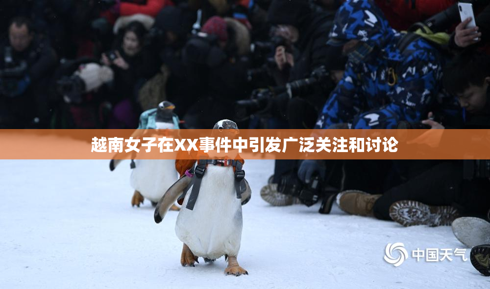 越南女子在XX事件中引发广泛关注和讨论