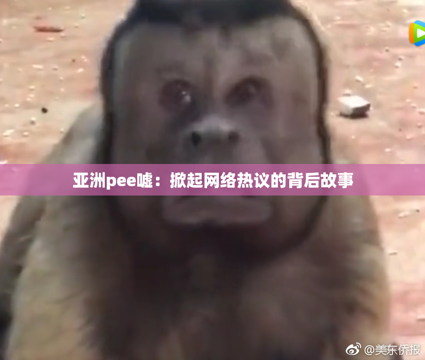 亚洲pee嘘：掀起网络热议的背后故事
