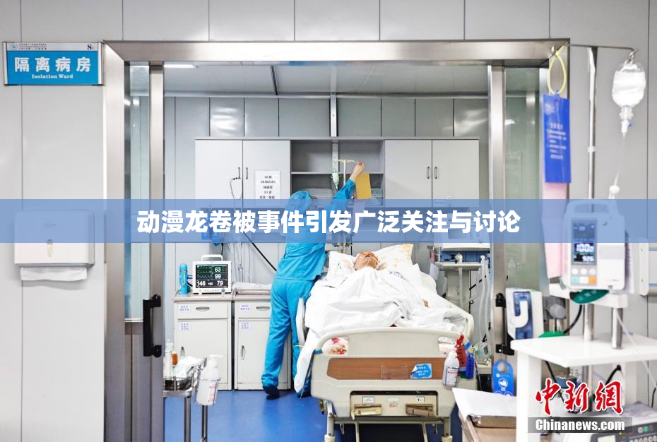 动漫龙卷被事件引发广泛关注与讨论