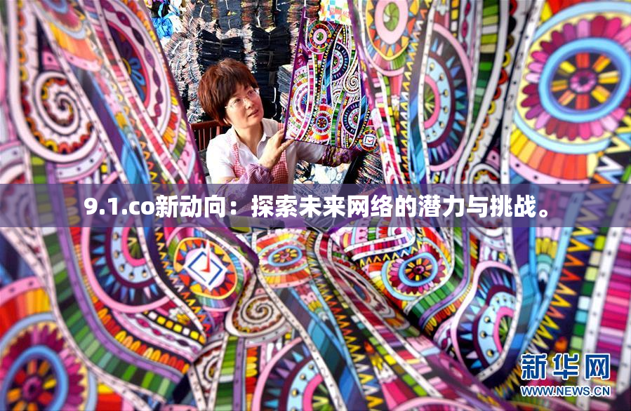 9.1.co新动向：探索未来网络的潜力与挑战。