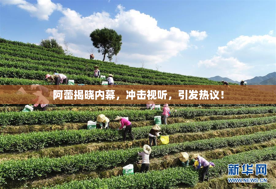 阿蕾揭晓内幕，冲击视听，引发热议！
