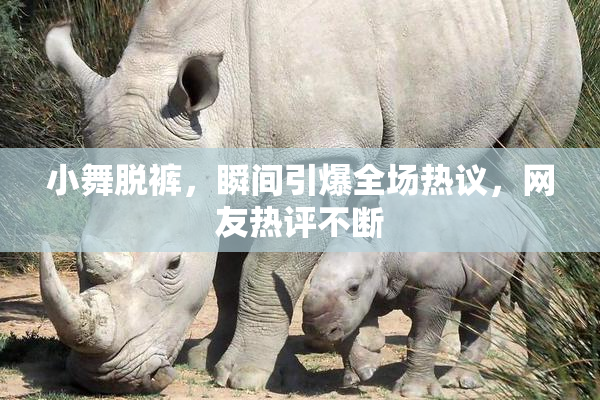 小舞脱裤，瞬间引爆全场热议，网友热评不断