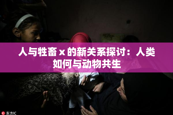 人与牲畜ⅹ的新关系探讨：人类如何与动物共生
