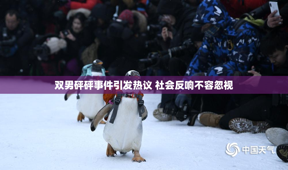 双男砰砰事件引发热议 社会反响不容忽视