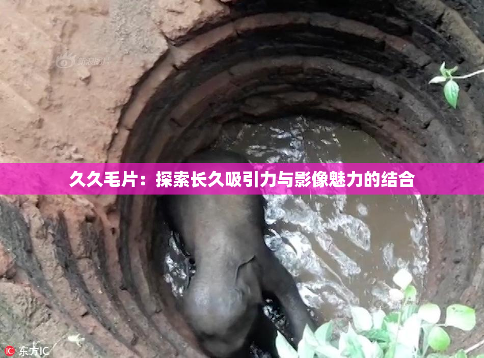 久久毛片：探索长久吸引力与影像魅力的结合