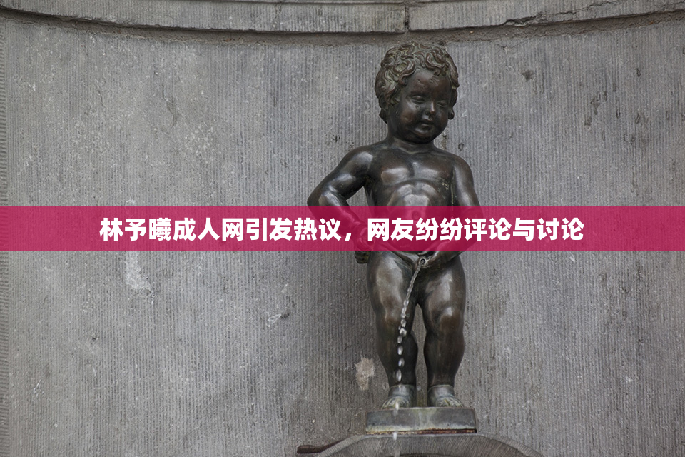 林予曦成人网引发热议，网友纷纷评论与讨论
