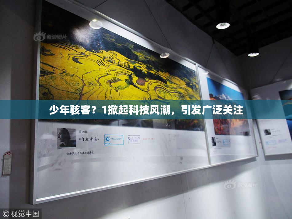 少年骇客？1掀起科技风潮，引发广泛关注