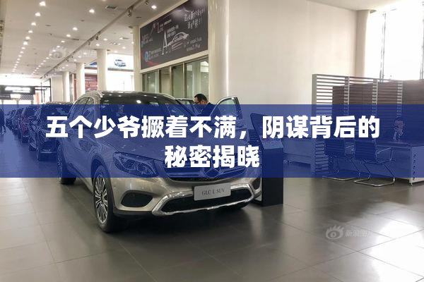 五个少爷撅着不满，阴谋背后的秘密揭晓