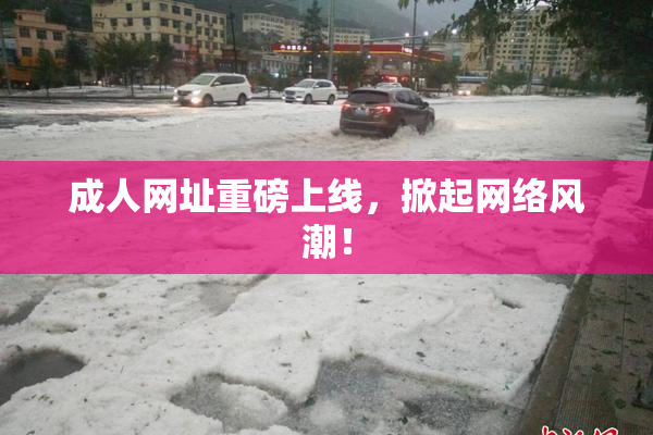 成人网址重磅上线，掀起网络风潮！