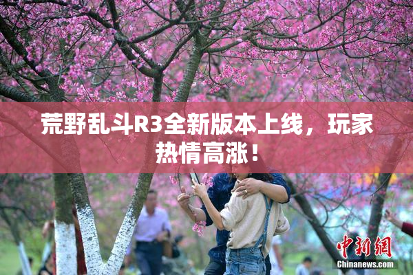 荒野乱斗R3全新版本上线，玩家热情高涨！