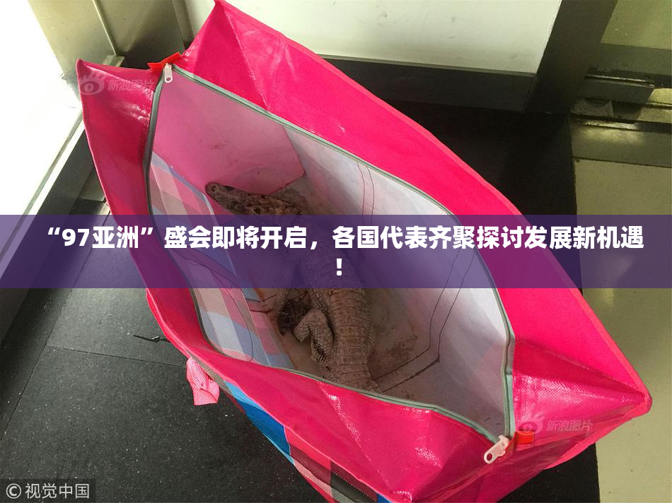 “97亚洲”盛会即将开启，各国代表齐聚探讨发展新机遇！