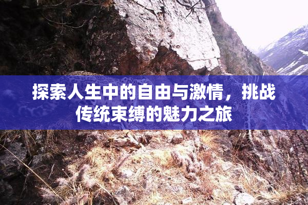 探索人生中的自由与激情，挑战传统束缚的魅力之旅
