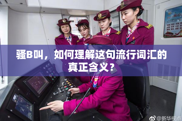 骚B叫，如何理解这句流行词汇的真正含义？