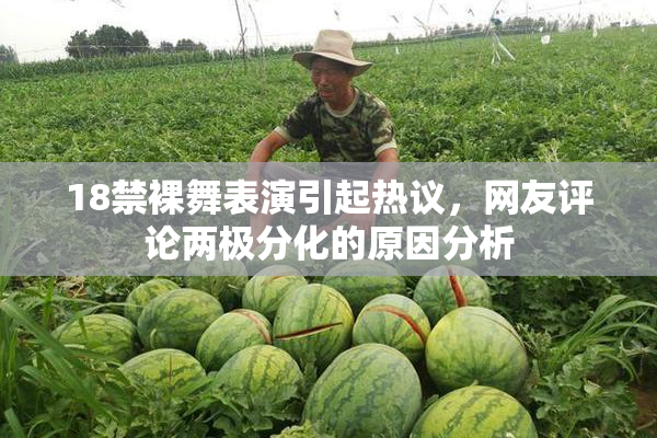 18禁裸舞表演引起热议，网友评论两极分化的原因分析