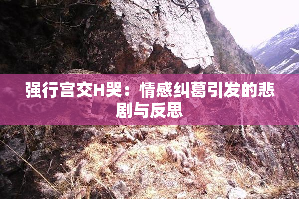 强行宫交H哭：情感纠葛引发的悲剧与反思