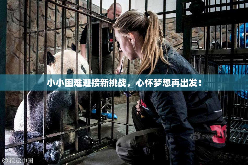 小小困难迎接新挑战，心怀梦想再出发！