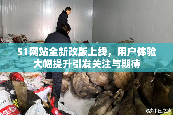 51网站全新改版上线，用户体验大幅提升引发关注与期待