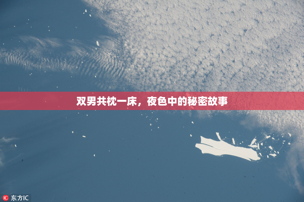 双男共枕一床，夜色中的秘密故事